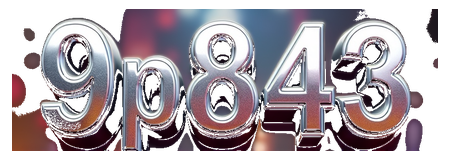 9p843 logo
